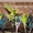 Продаются попугаи от заводчиков - Изображение #1, Объявление #262917