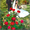 ВИДЕООПЕРАТОР, ФОТОГРАФ,ТАМАДА - на свадьбу в Пензе  - Изображение #3, Объявление #387748