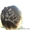 Плету косы,прически с элементами кос - Изображение #4, Объявление #394275