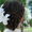 Плетение кос, прически на основе кос - Изображение #5, Объявление #506441