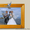 Видео/фотосъемка свадеб,юбилеев. - Изображение #2, Объявление #665902
