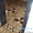 шлифовка деревянных полов.штучный паркет-укладка,циклевка,реставрация - Изображение #5, Объявление #709940