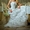 Продаю свадебное платье Кантаре от Merri! Идеальное состояние! Размер 42-46!     #819312