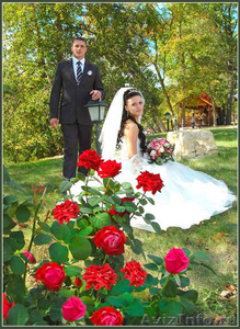 Видео- фотосъёмка,Фото и видео свадеб, тамада, фотограф, видеооператор- свадьба  - Изображение #6, Объявление #254971
