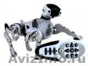 Robopet - оригинальный подарок детям. Собачка- робот выполняет команды с пульта  - Изображение #1, Объявление #604182
