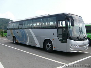 Продаём автобусы Дэу Daewoo  Хундай  Hyundai  Киа  Kia  в наличии Омске. Пензе - Изображение #1, Объявление #848677