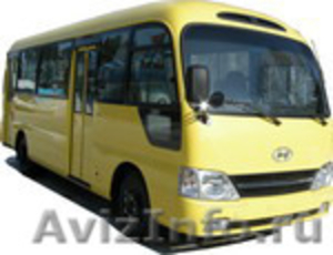 Продаём автобусы Дэу Daewoo  Хундай  Hyundai  Киа  Kia  в наличии Омске. Пензе - Изображение #3, Объявление #848677