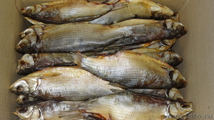 Рыба св.мор. и вяленая оптом - Изображение #1, Объявление #270910