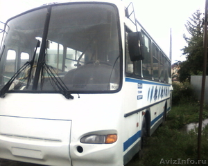 Продаю автобус ПАЗ-423003 (АВРОРА) г.в. 2003 - Изображение #3, Объявление #957563