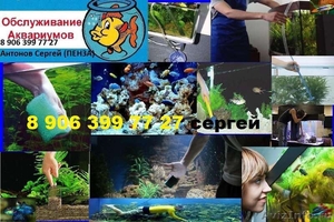 Аквариумные услуги(чистка аквариумов)Пенза - Изображение #1, Объявление #1086053