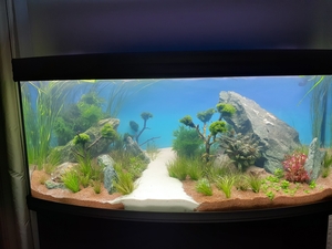 Чистка аквариума Пенза. Обслуживание аквариума Пенза - Изображение #5, Объявление #86258